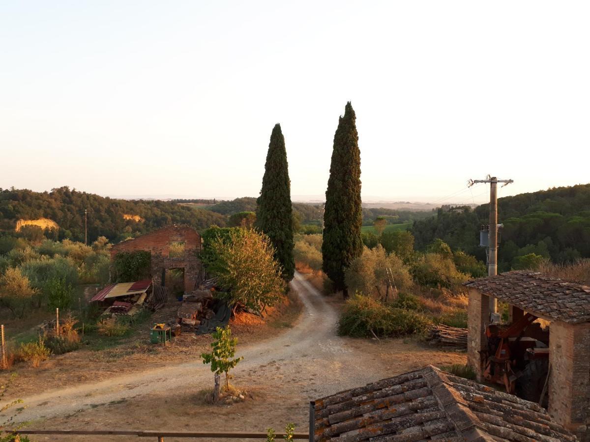 Podere Calcinaia Casa rural Castelnuovo Berardenga