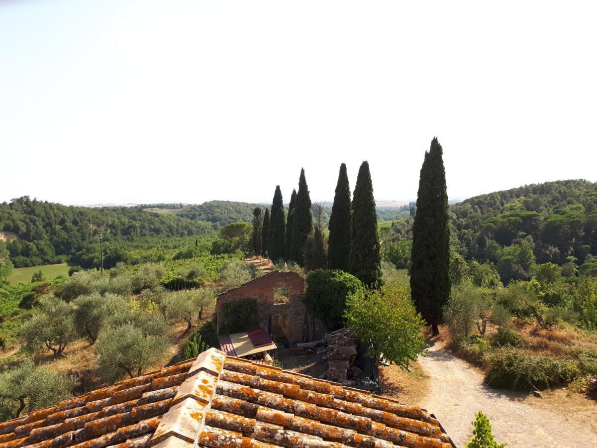 Podere Calcinaia Casa rural *